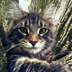 Meet your Posher, Josh